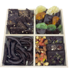 Tu Bishvat Sectional Tray Premium